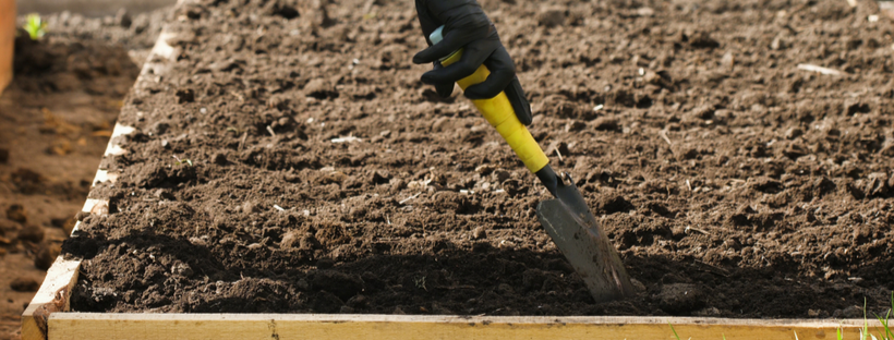 Preparing soil for garden