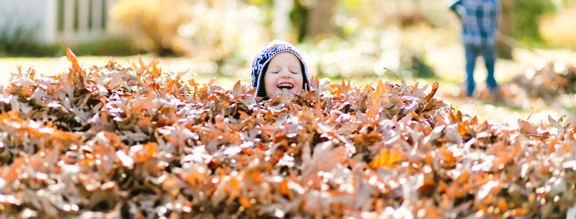 Little boy playing in a pile of leaves